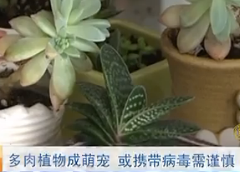 QQ20140411-2.png